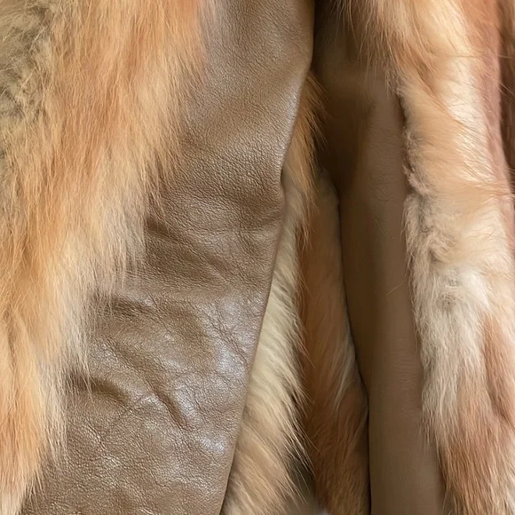 Red Fox - Picture 3 of 5